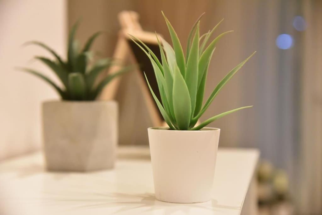 Tiny Treasure Apartment Athènes Extérieur photo